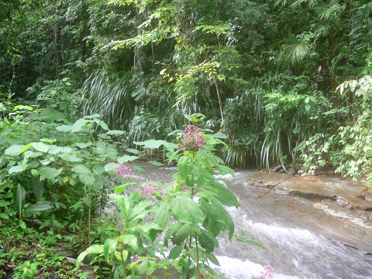 Waterfall Villas Baru Ngoại thất bức ảnh